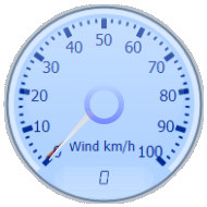 Wind Gauge
